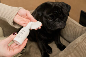 засіб для очистки вух у собак