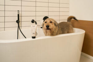 делікатний шампунь для собак